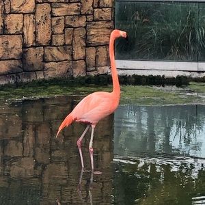 Meet your Posher, Adam